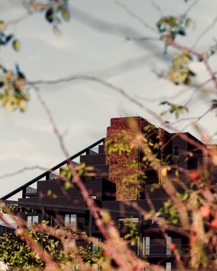 ŻORRO by Blockhaus.